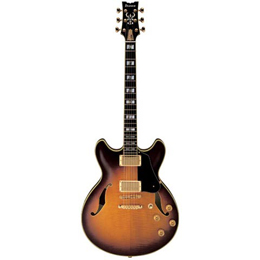 JSM100-VT