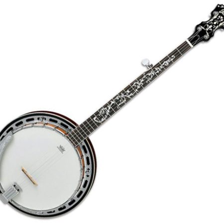 5-strängad Banjo B200
