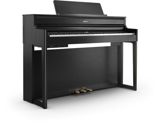 HP704-CH