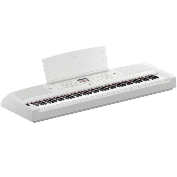 DGX-670WH